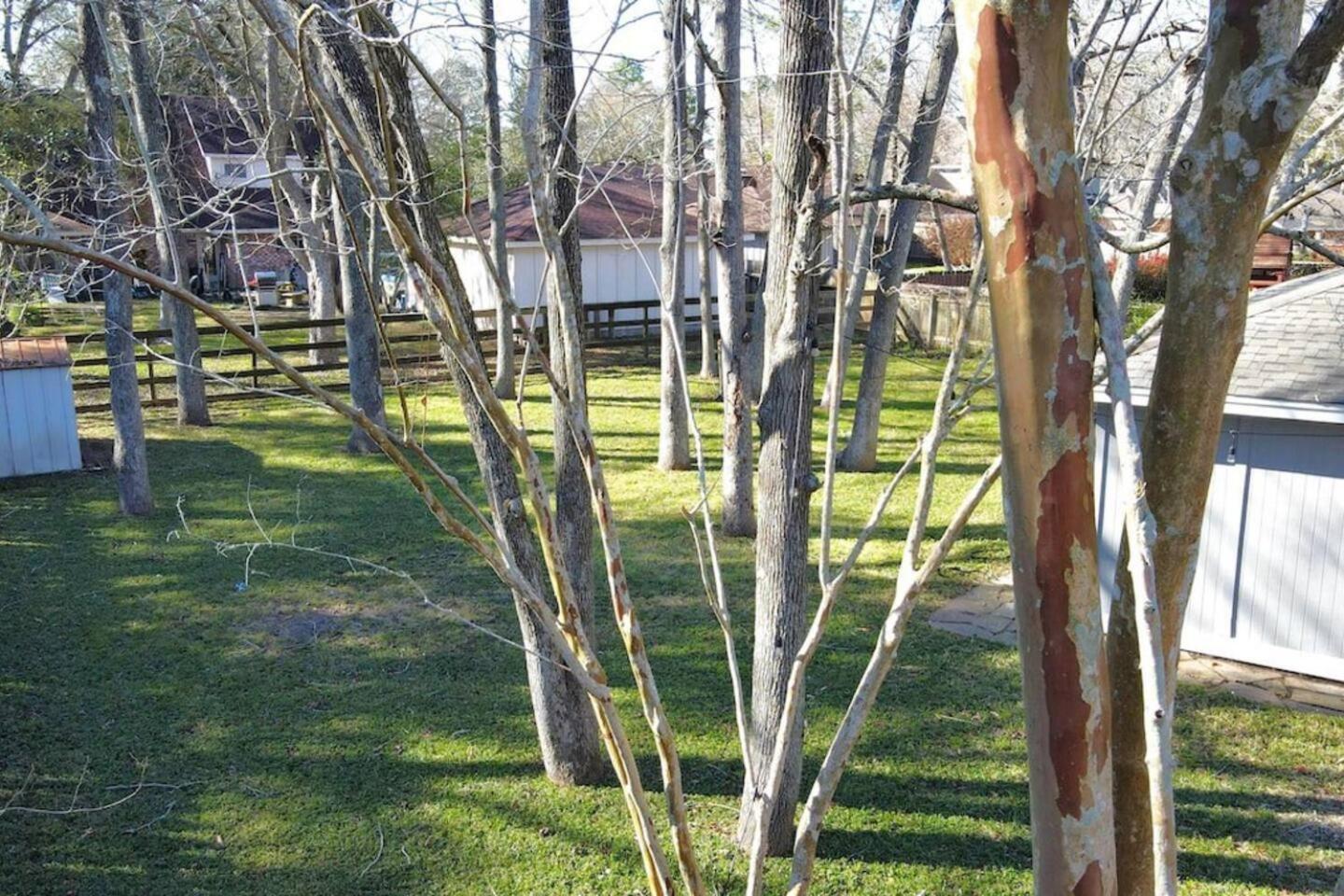 Willa Sunmeadow Manor Retreat Friendswood Zewnętrze zdjęcie